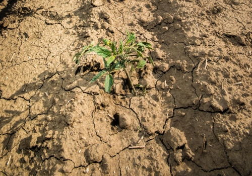 The Impact of Climate Change on Agriculture and Farming in Charlottesville, VA