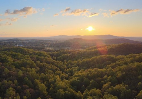 The Impact of Climate Change on Local Wildlife and Ecosystems in Charlottesville, VA