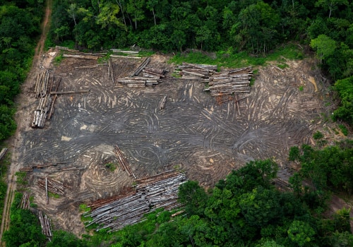 The Impact of Deforestation on Climate Change in Charlottesville, VA